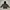 K-Way Outerwear Kids White Black