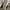 Golden Goose Luxury Casual Casual shoe Pria white navy photo 2