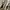 Golden Goose Luxury Casual Casual Shoe Pria White Navy