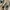 Golden Goose Luxury Casual Casual shoe Pria white navy photo 7