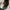Golden Goose Luxury Casual Casual shoe Pria white navy photo 5