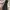 Golden Goose Luxury Casual Casual shoe Pria white navy photo 4
