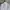 Burberry Minimalist Shirt Wanita white black photo 5