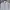 Burberry Minimalist Shirt Wanita white black photo 3