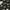 Abercrombie & Fitch Outerwear Kids multicolor black photo 8