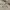 Abercrombie & Fitch Outerwear Kids multicolor black photo 7