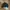 Streetwear Bomber jacket Pria brown photo 1