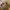 Burberry Vintage Luxury Wanita tan photo 5
