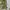 Japanese brand Y2K Sportswear Wanita khaki photo 8