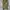 Japanese brand Y2K Sportswear Wanita khaki photo 3