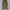 Japanese brand Y2K Sportswear Wanita khaki photo 1