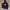 Lee Vintage Y2K Hoody Pria navy photo 1