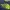 The North Face Streetwear T-shirt Pria navy photo 2