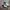 Puma Streetwear Casual Sneakers Wanita white tan photo 1