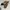 VANS Streetwear Casual Sneakers Pria multicolor photo 7