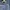 Giordano Streetwear Grunge Jeans Pria blue photo 4