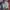 Converse Streetwear Grunge Casual shirt Pria multicolor photo 2