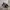 VANS Streetwear Casual Sneakers Pria white black photo 1