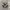 Adidas Casual Sneakers Pria white brown photo 5