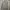 Champion Casual Hoody Pria gray photo 1