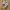 Nike Casual Sneakers Pria multicolor photo 1