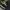 Oakley Y2K Gorpcore Windbreaker Pria black photo 3
