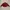 Outerwear Kids brown red photo 2