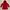 Levi's Outerwear Kids red photo 1