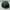 Streetwear Hat Pria green photo 6
