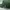 Streetwear Hat Pria green photo 5