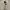 Outerwear Kids white photo 1