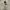 Outerwear Kids White