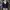 Juicy Couture Grunge Coquette Cardigan Wanita Blue