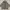 Millet Outerwear Kids gray photo 4