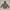 Millet Outerwear Kids gray photo 2