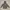 Millet Outerwear Kids Gray