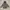 Millet Outerwear Kids gray photo 1
