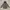 Millet Outerwear Kids Gray