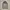 Millet Outerwear Kids gray photo 3