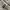 Millet Outerwear Kids gray photo 8