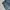 Carhartt Vintage Streetwear Jeans Pria navy blue photo 6