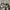Lafuma Outerwear Kids white black photo 6