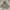 Lafuma Outerwear Kids white black photo 1