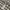 Lafuma Outerwear Kids white black photo 8