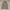Lafuma Outerwear Kids white black photo 3