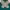 Millet Outerwear Kids green photo 6