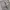 Carhartt Vintage Casual Formal pants Pria cream photo 6
