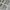 Carhartt Vintage Casual Formal pants Pria cream photo 2