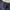 Carhartt Vintage Casual Jeans Pria navy photo 7