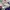 Biker Sportswear Windbreaker Pria purple pink photo 6